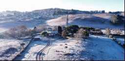 frio-wagner-urbano-768x432